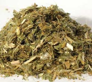 Herbs: Blessed Thistle