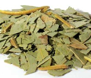 Herbs: Eucalyptus