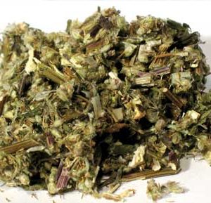 Herbs: Mugwort